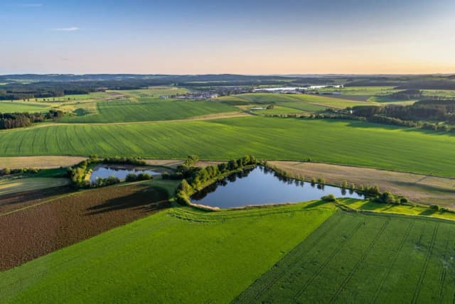 Czy warto inwestować w ziemię? Korzyści, ryzyka i kluczowe czynniki sukcesu Czy warto inwestować w ziemię? Korzyści, ryzyka i kluczowe czynniki sukcesu